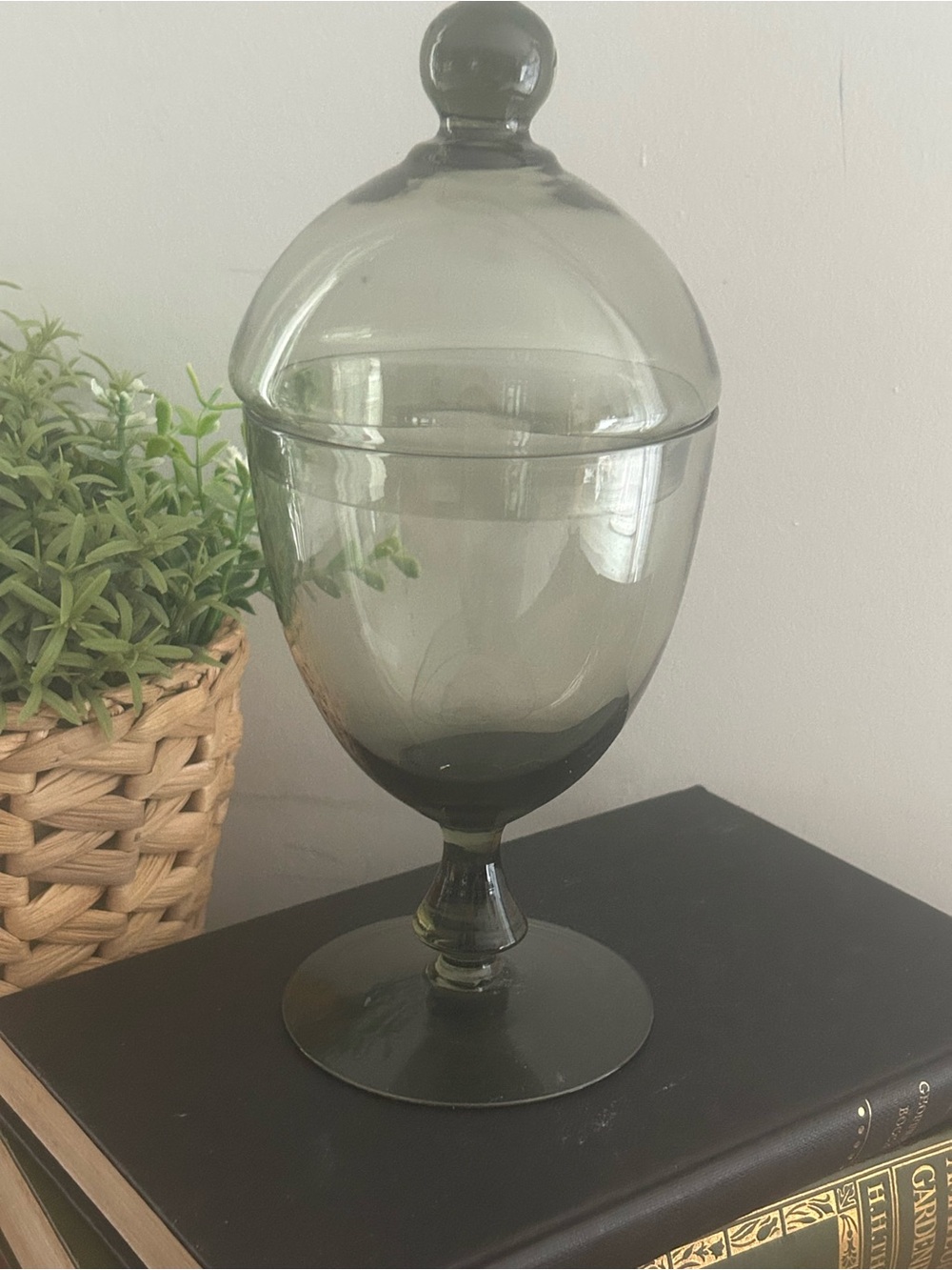 vintage mid-century modern smoky grey glass footed apothecary Jar Domed Lid